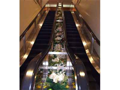 �Զ�����